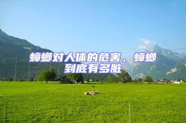 蟑螂對(duì)人體的危害，蟑螂到底有多臟