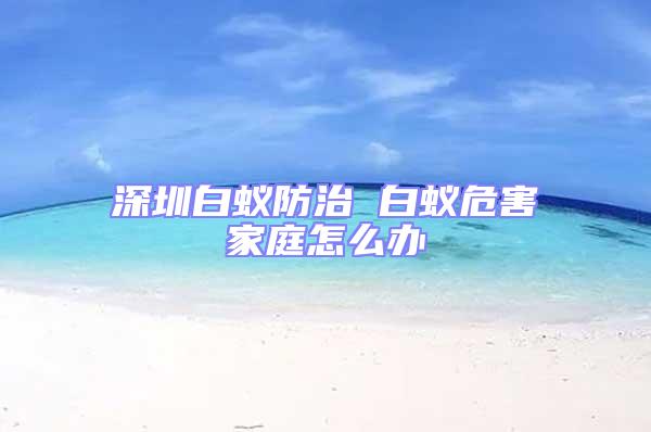 深圳白蟻防治 白蟻危害家庭怎么辦