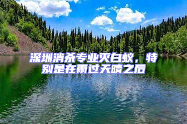 深圳消殺專業(yè)滅白蟻，特別是在雨過天晴之后