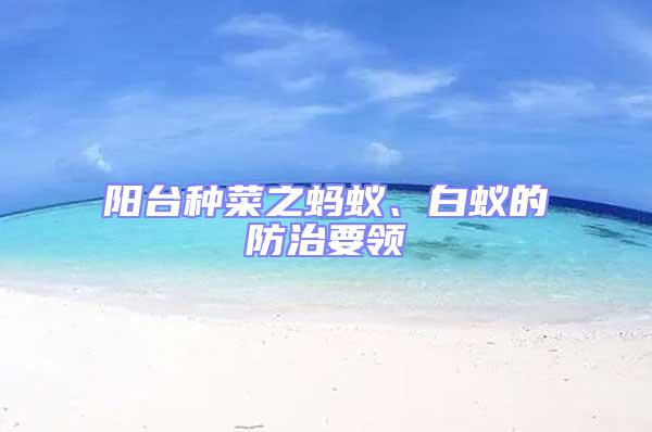 陽臺種菜之螞蟻、白蟻的防治要領