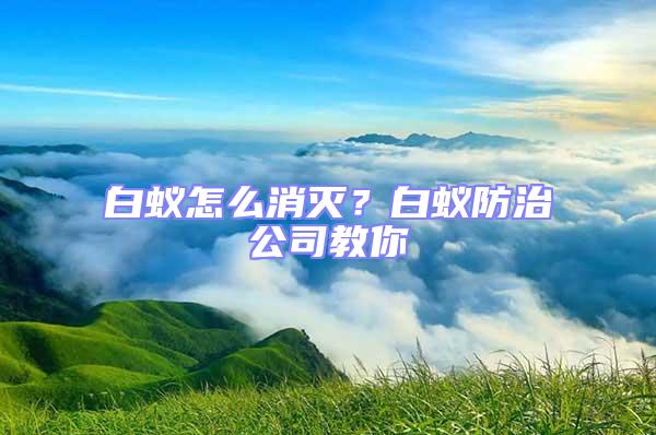 白蟻怎么消滅？白蟻防治公司教你