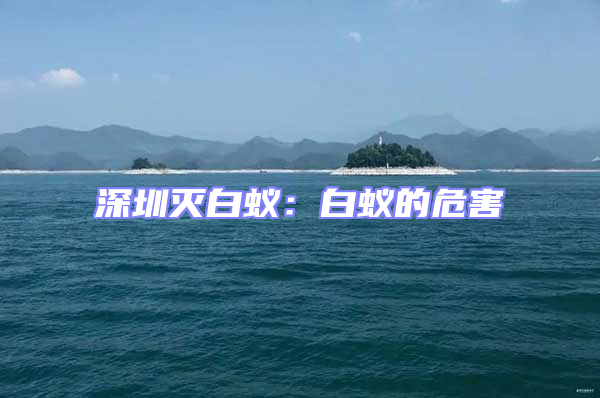 深圳滅白蟻:白蟻的危害