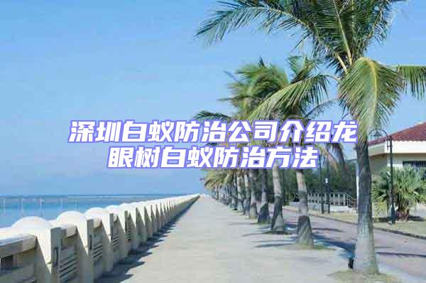 深圳白蟻防治公司介紹龍眼樹白蟻防治方法