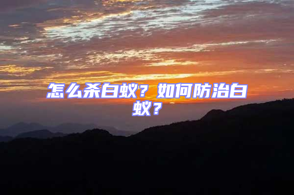 怎么殺白蟻?如何防治白蟻?