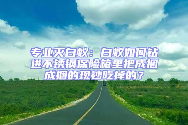 專業滅白蟻：白蟻如何鉆進不銹鋼保險箱里把成捆成捆的現鈔吃掉的？
