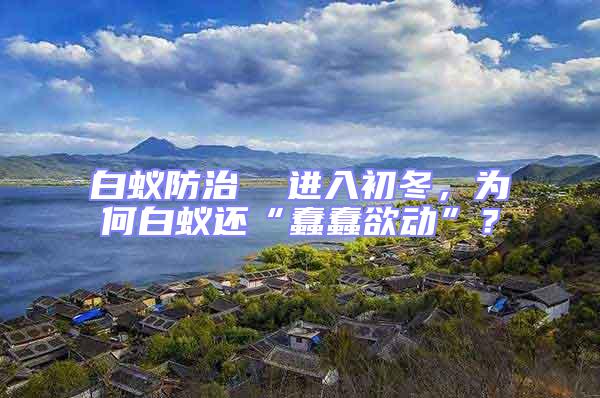 白蟻防治 進入初冬,為何白蟻還“蠢蠢欲動”?