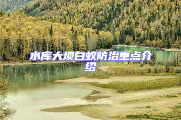 水庫大壩白蟻防治重點介紹