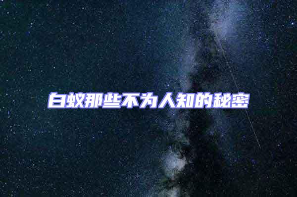 白蟻那些不為人知的秘密