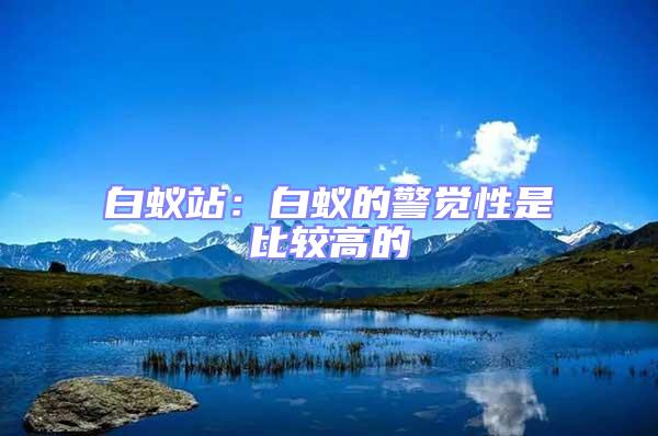 白蟻站：白蟻的警覺性是比較高的