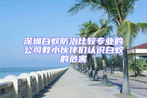 深圳白蟻防治比較專業的公司教小伙伴們認識白蟻的危害