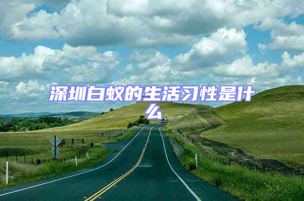 深圳白蟻的生活習性是什么