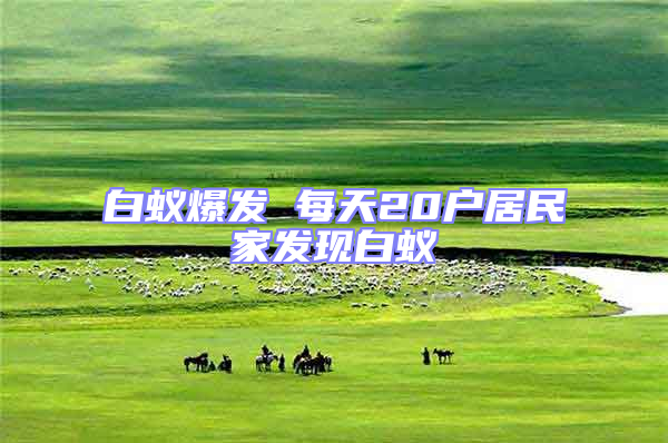 白蟻爆發 每天20戶居民家發現白蟻