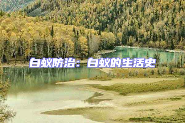 白蟻防治：白蟻的生活史