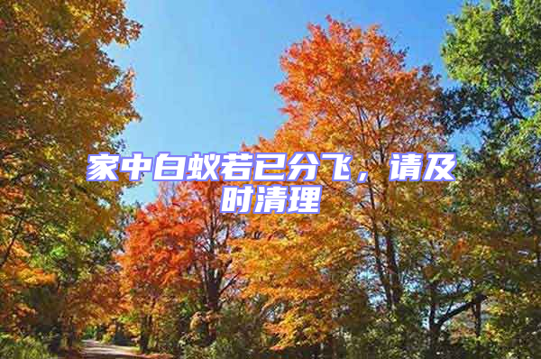 家中白蟻若已分飛,請及時清理