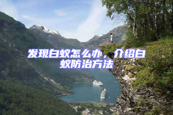 發現白蟻怎么辦，介紹白蟻防治方法