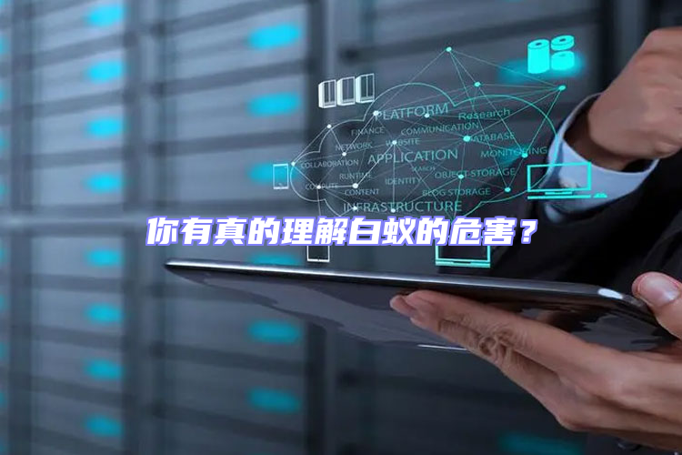 你有真的理解白蟻的危害？