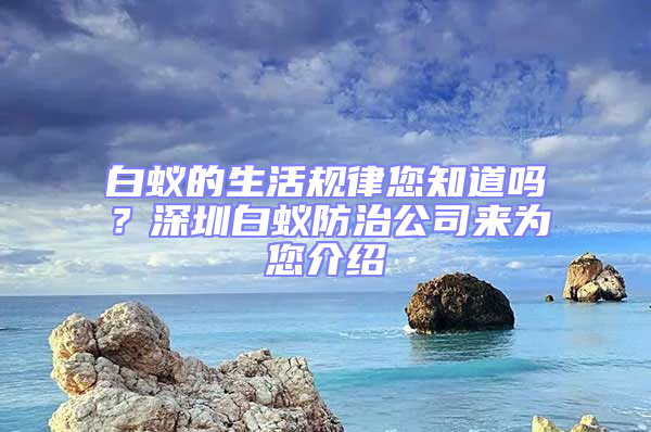白蟻的生活規律您知道嗎?深圳白蟻防治公司來為您介紹