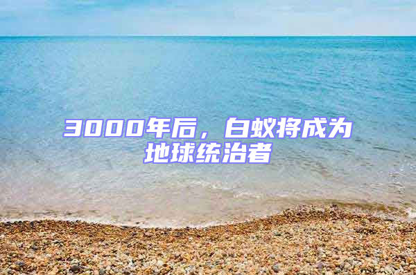 3000年后，白蟻將成為地球統治者