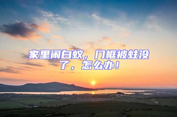 家里鬧白蟻，門框被蛀沒了，怎么辦！