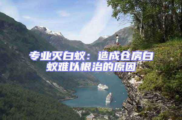 專(zhuān)業(yè)滅白蟻：造成倉(cāng)房白蟻難以根治的原因