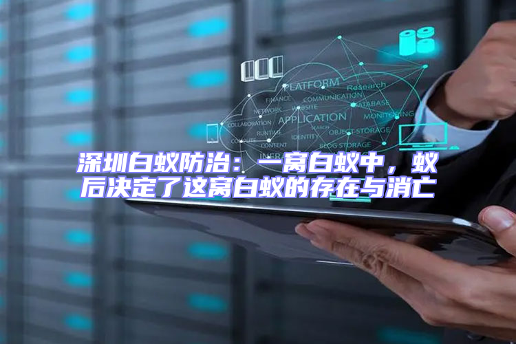 深圳白蟻防治:一窩白蟻中,蟻后決定了這窩白蟻的存在與消亡