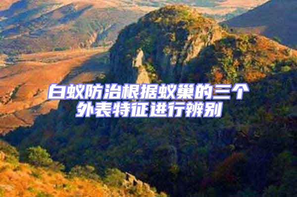 白蟻防治根據蟻巢的三個外表特征進行辨別