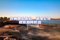 蒼蠅那么惡心，殺蟲公司教你如何防治