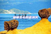 蟑螂怎么徹底消滅