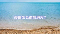 蟑螂怎么徹底消滅？