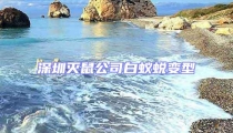 深圳滅鼠公司白蟻蛻變型