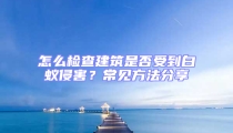 怎么檢查建筑是否受到白蟻侵害？常見方法分享