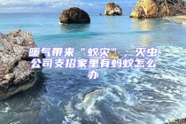 暖氣帶來“蟻災”，滅蟲公司支招家里有螞蟻怎么辦