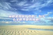 蟑螂是如何擴散的？為什么全世界都有蟑螂？