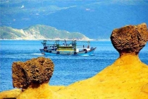 殺蟲(chóng)公司詳談臭蟲(chóng)