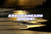 真有防白蟻木地板怎樣防治白蟻腐蝕？