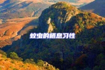 蚊蟲的棲息習性