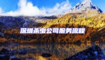 深圳殺蟲公司服務流程
