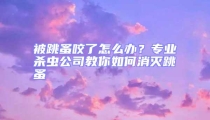 被跳蚤咬了怎么辦？專業(yè)殺蟲公司教你如何消滅跳蚤