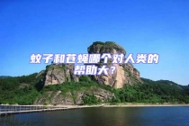 蚊子和蒼蠅哪個(gè)對(duì)人類的幫助大？