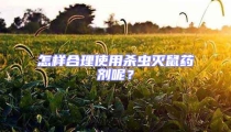 怎樣合理使用殺蟲滅鼠藥劑呢？
