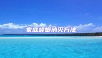 家庭蟑螂消滅方法