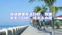 深圳哪里有殺白蟻，如果發生了白蟻，該怎么辦被？