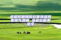 老鼠咬破橡膠軟管致居民家燃氣泄漏 金屬軟管更安全