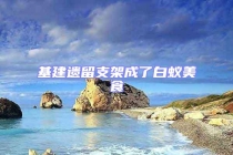 基建遺留支架成了白蟻美食