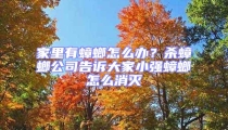 家里有蟑螂怎么辦？殺蟑螂公司告訴大家小強(qiáng)蟑螂怎么消滅