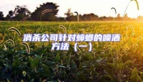 消殺公司針對蟑螂的噴灑方法（一）
