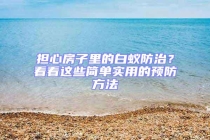 擔心房子里的白蟻防治？看看這些簡單實用的預防方法