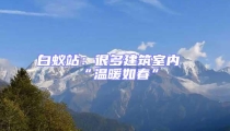 白蟻站：很多建筑室內“溫暖如春”
