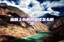 床板上長(zhǎng)的臭蟲該怎么防治