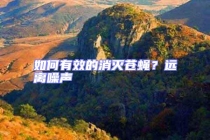 如何有效的消滅蒼蠅？遠離噪聲